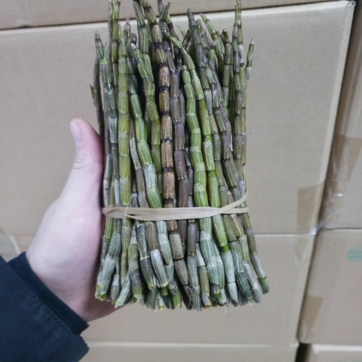 德清县铁皮石斛 
