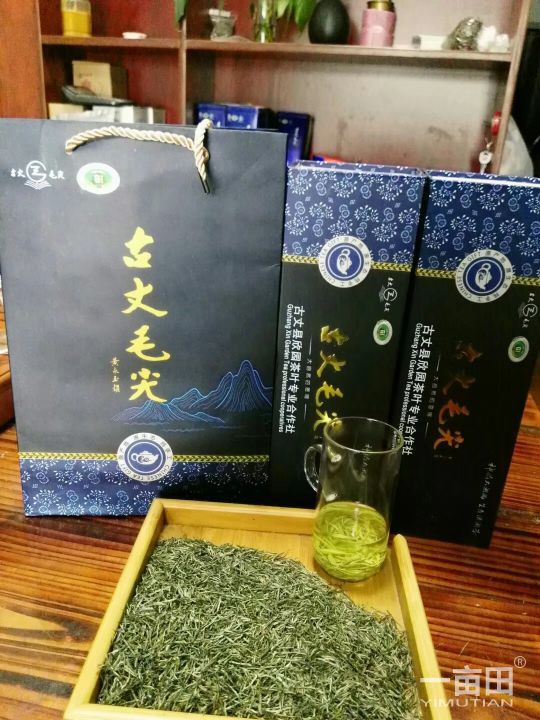 古丈毛尖 一级 盒装