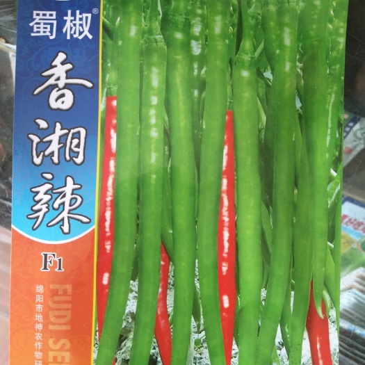 沭阳县线椒种子 杂交种 ≥99% ≥99%