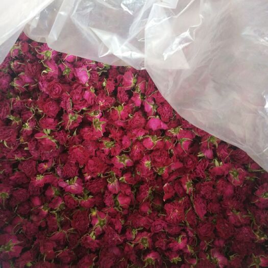 平阴县玫瑰花茶  平阴玫瑰花冠 低温烘焙无硫花冠