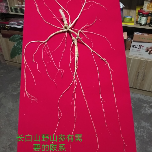 靖宇县人参 纯货懂行的来