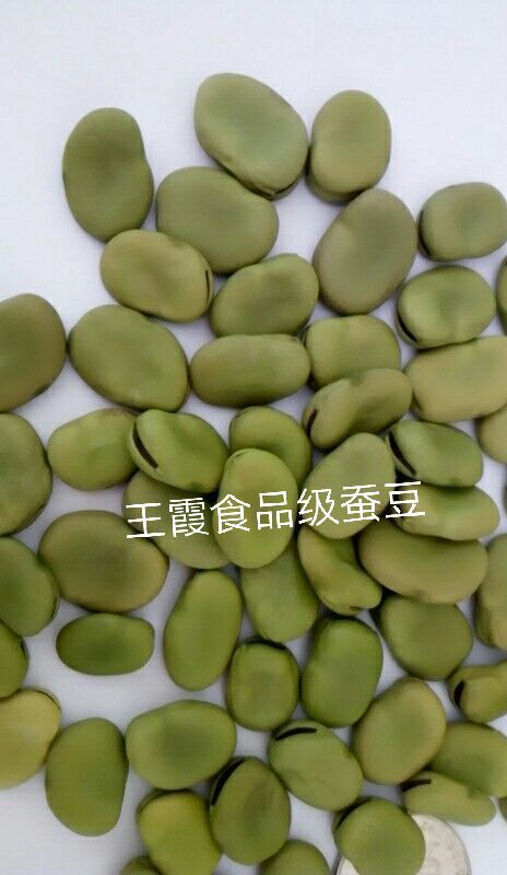 阜宁县食品蚕豆芽苗菜冷菜饭店