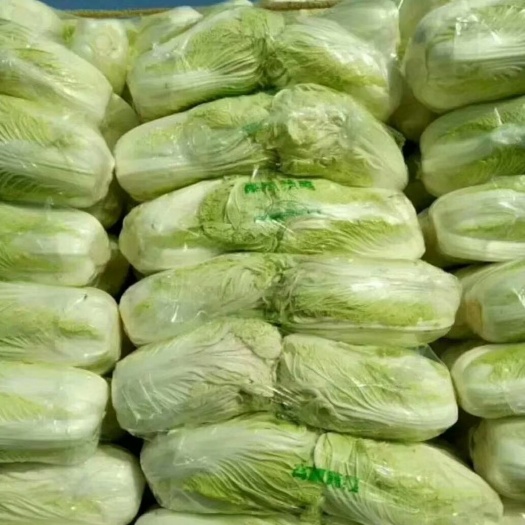 夏邑县青杂三号白菜 3~6斤 净菜