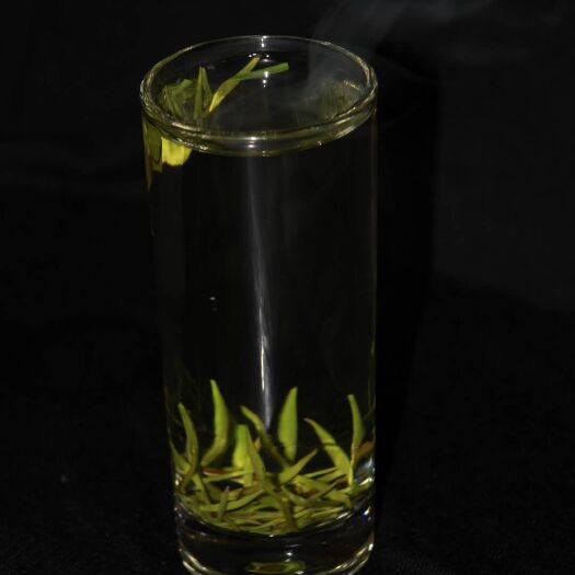 贵阳绿杨春 湄潭翠芽