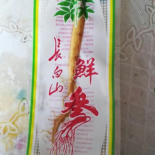 郑州林下参人参 鲜参