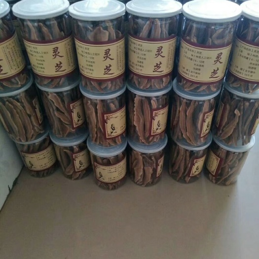 冠县赤灵芝