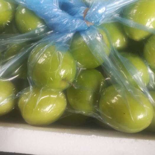 南靖县牛奶枣 100-150g