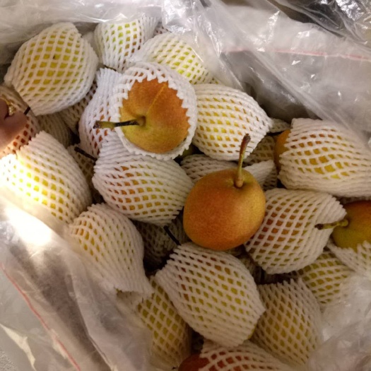 赵县红香酥梨 55mm以上 250-300g