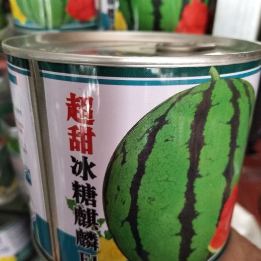 沭阳县金麒麟西瓜种子