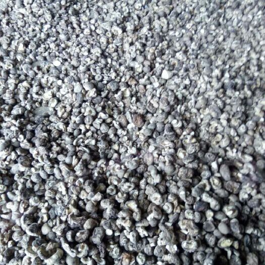 随县金钱干菇 箱装 1年 