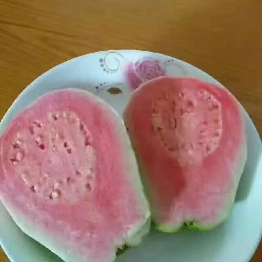 灵山县红心芭乐番石榴苗