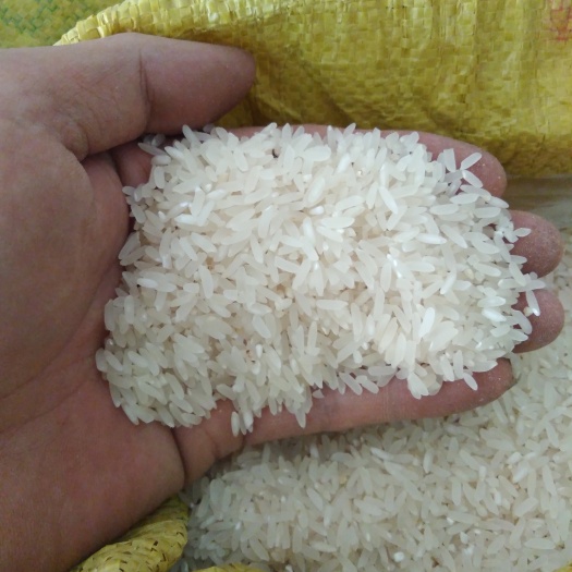 德庆县有机米 绿色食品 晚稻 一等品 