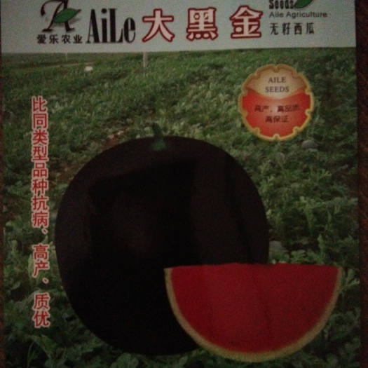 韶山市无籽西瓜种子 亲本（原种） ≥85% 