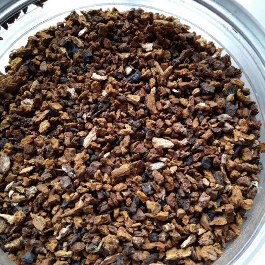 靖宇县俄罗斯桦树茸  长白山桦树茸纯正宗非白桦茸