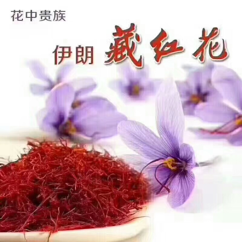红花  藏红花 伊朗 纯料