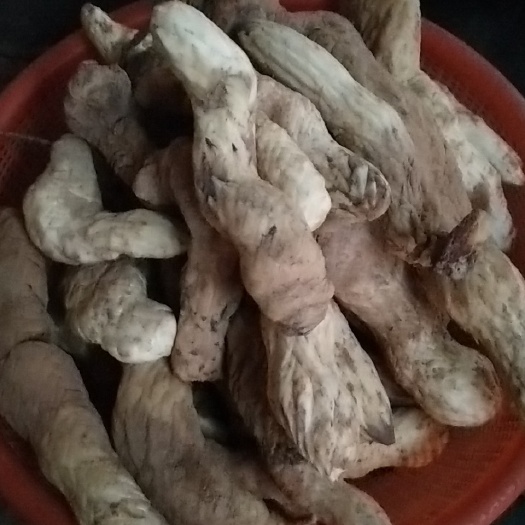 白银苁蓉