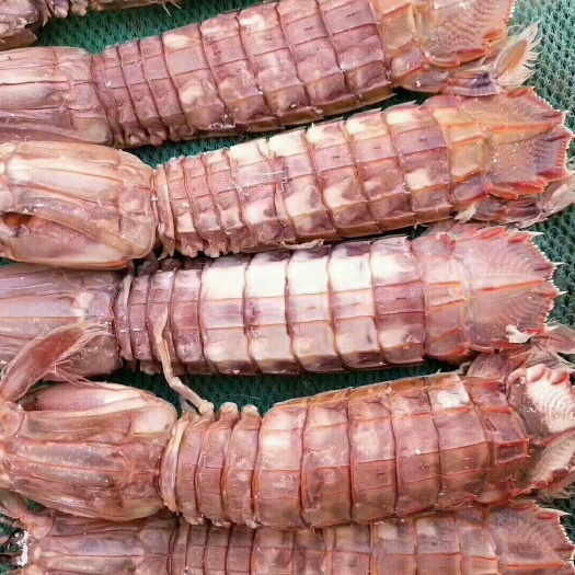 滨州皮皮虾
