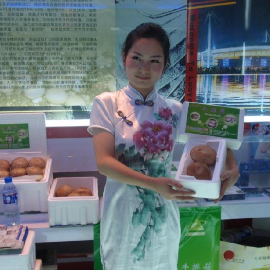 洛阳蘑菇 散装 半年
