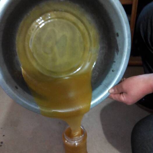 卢氏县土蜂蜜 98% 2年 塑料瓶装