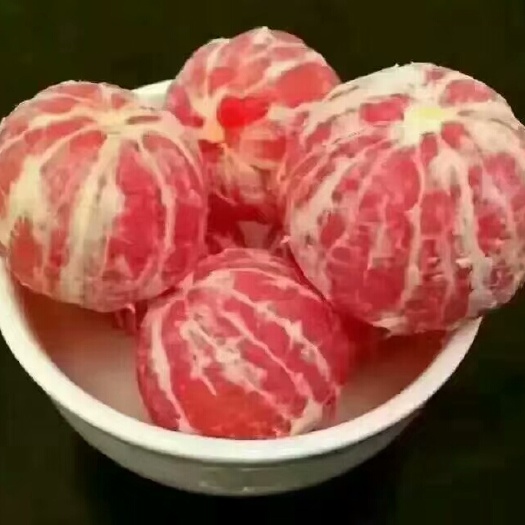 瑞金市卡拉卡拉红肉脐橙苗 嫁接苗 0.5~1米 