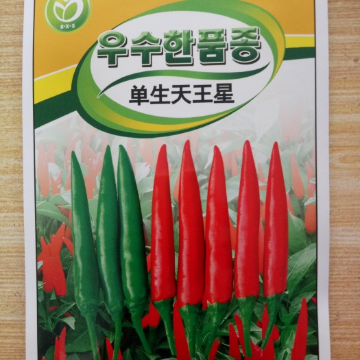 兴义市朝天椒种子 85%以上 杂交种