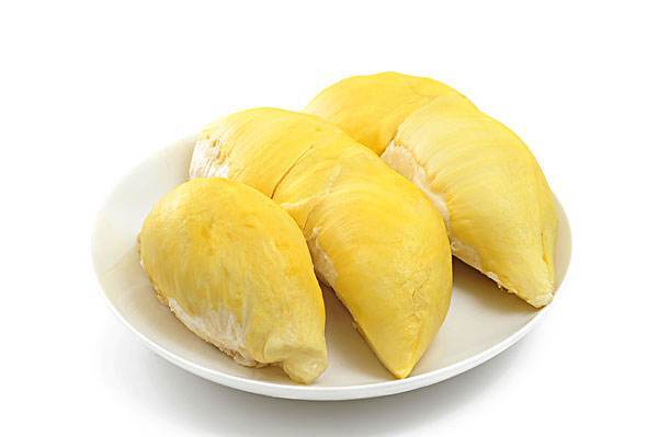 灵山县金枕榴莲苗 
