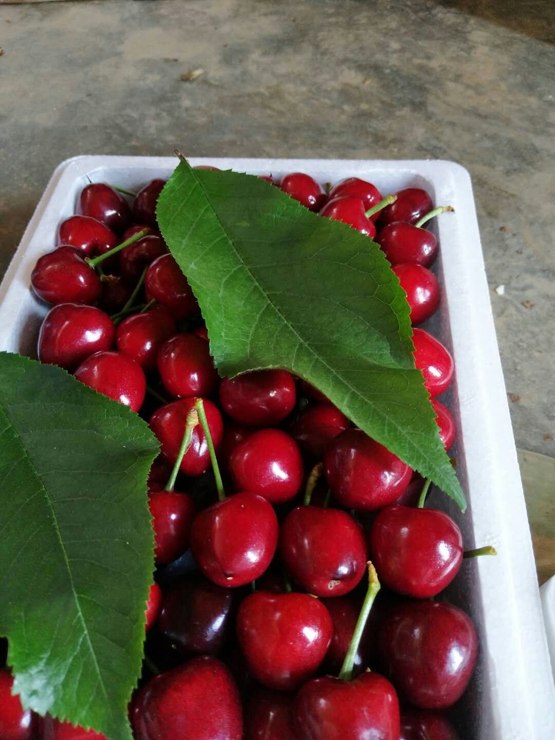 美早樱桃  2025年新果现货，2斤装3斤装顺丰包邮，脆甜多