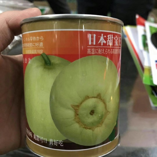 沭阳县日本甜宝甜瓜种子 ≥90% 常规种（大田用种）