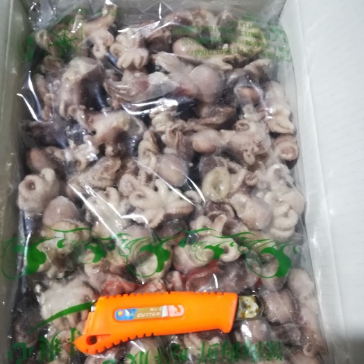中牟县章鱼足 八爪鱼