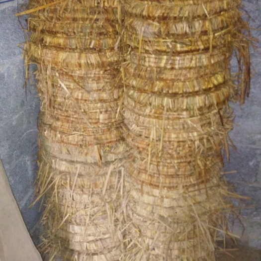 吉首市菜枯