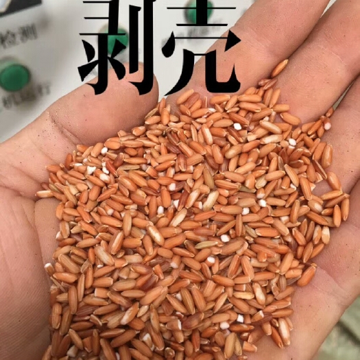 勐海县缅甸红糯米 