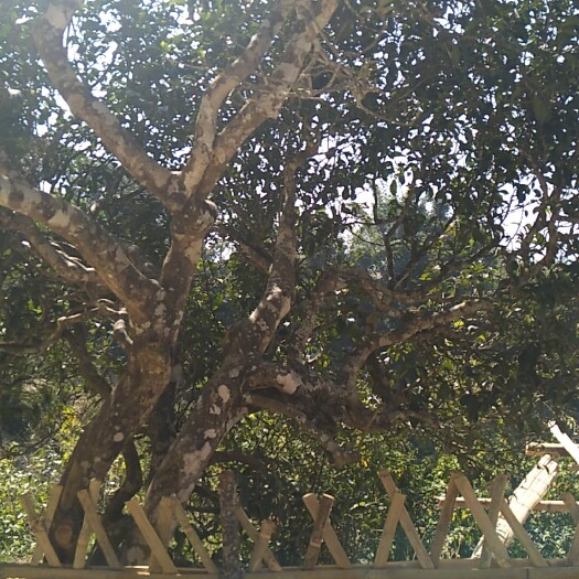 澜沧县纸箱
