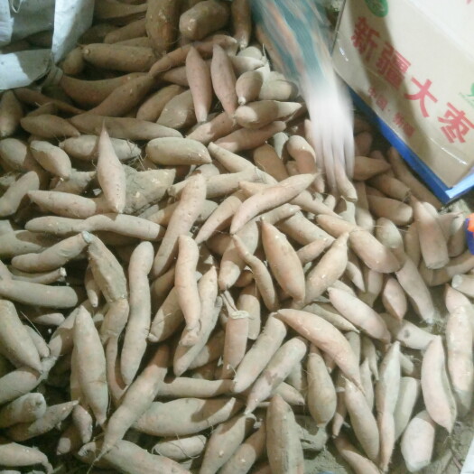 夏津县龙薯九号 混装通货 红皮