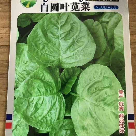 沭阳县苋菜种子 