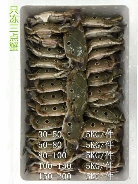 广州三点蟹 公蟹 2.5-3.0两