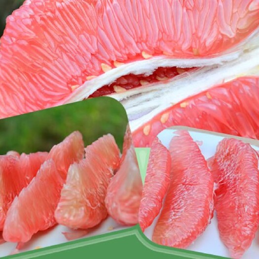 灵山县三红蜜柚苗 三红蜜柚果树苗