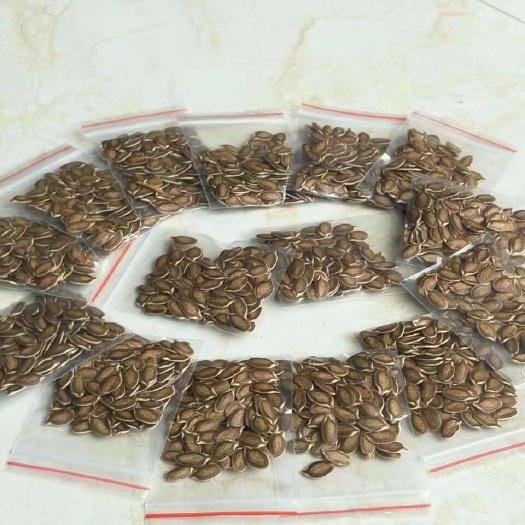 香如蜜种子