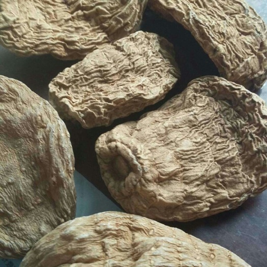 南漳县天麻 