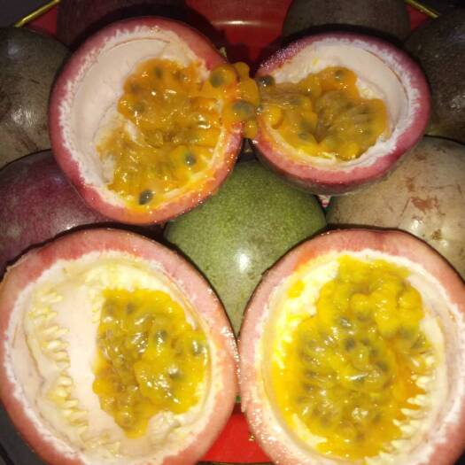 灵山县紫香一号百香果苗 