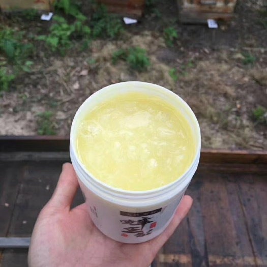 北安市天然蜂王浆，口感纯正，营养丰富。预防疾病和营养佳品。