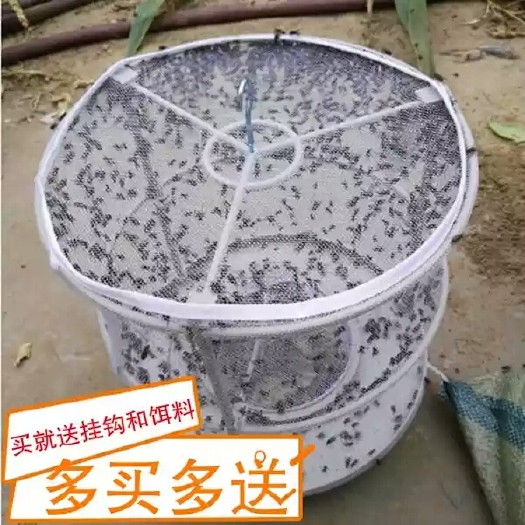 乐清市生物防治虫 小飞蛾  苍蝇笼捕蝇笼捕蝇器灭蝇灭苍蝇笼