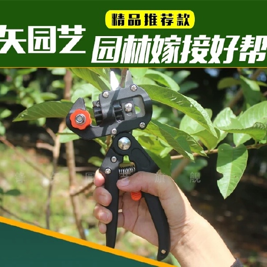 深圳嫁接剪/刀 