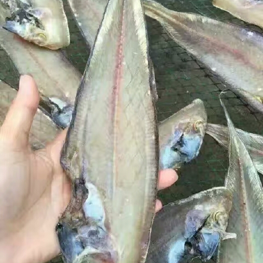 雷州市龙利鱼干 