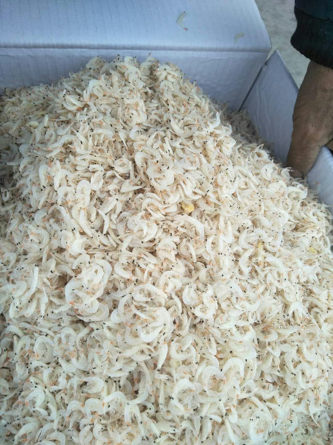虾皮