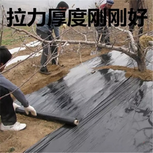 黑地膜 保温，保湿，保墒，除草地膜，厂家直销