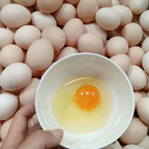 广州土鸡蛋 食用 箱装