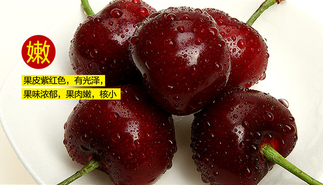 美早樱桃  2025年新果现货，2斤装3斤装顺丰包邮，脆甜多