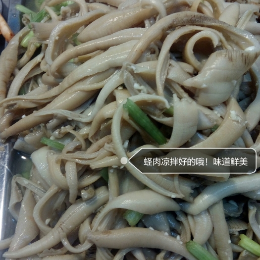 海笋贝 