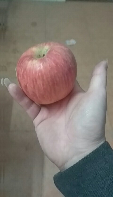 红富士苹果 纸+膜袋 条红 75mm以上