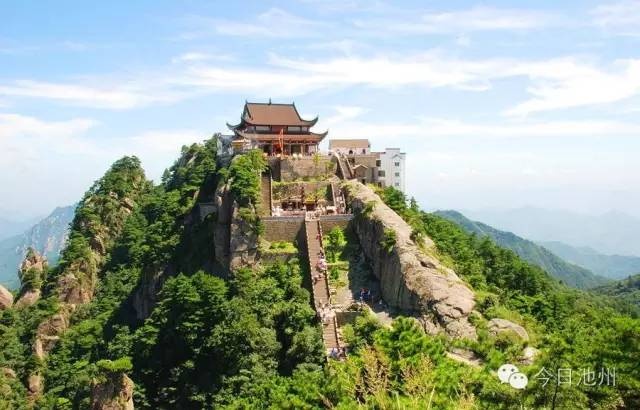 毛尖茶  九华山高山绿茶——《大愿禅茶》生长于海拔八百余米的